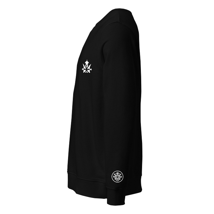 JES Unisex Sweatshirt | Black product image (2)