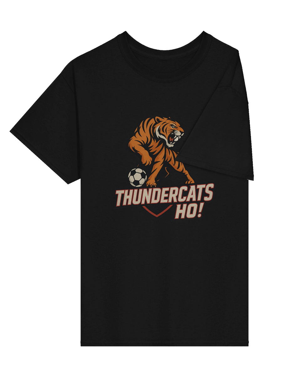 Thundercats Ho! Tiger Soccer Heavyweight Tee product image (18)