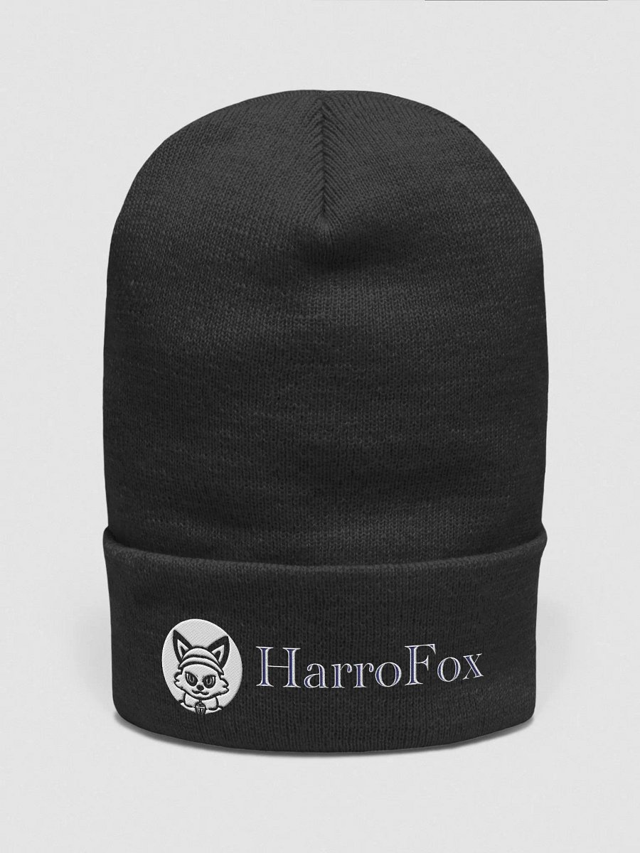 limited harro beany product image (1)