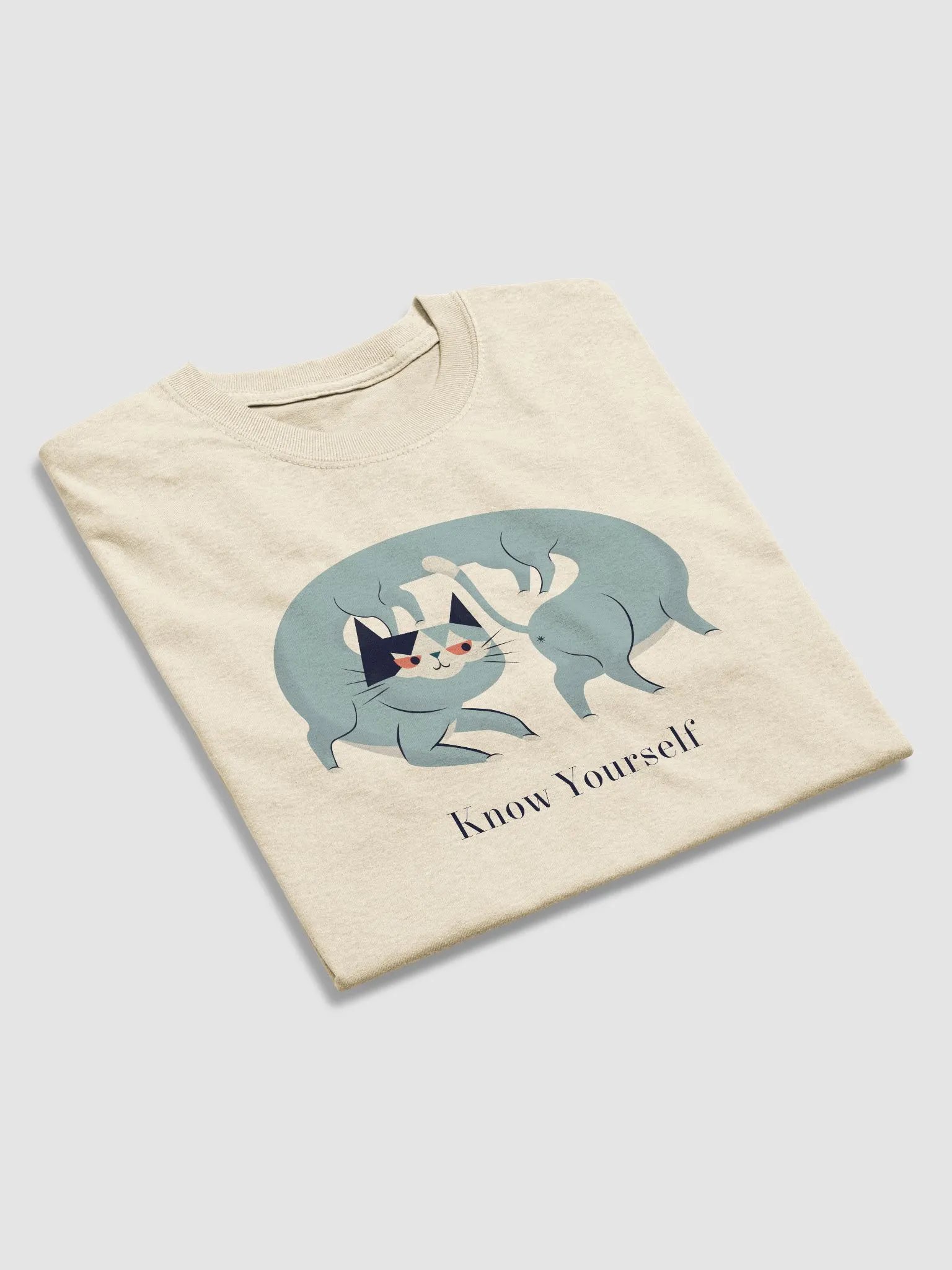 Know Yourself Heavyweight Unisex T-Shirt product image (15)