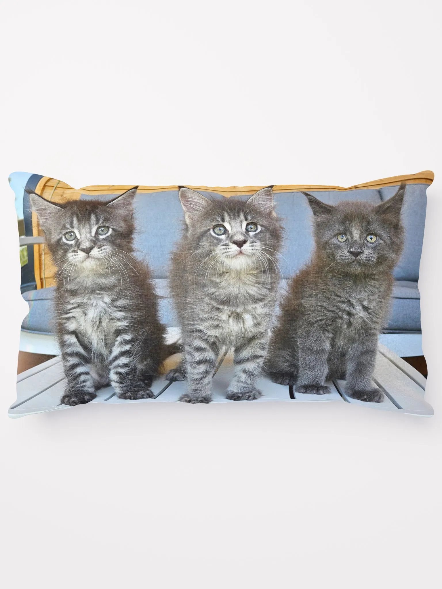 Luna's Kittens - Pillow product image (2)