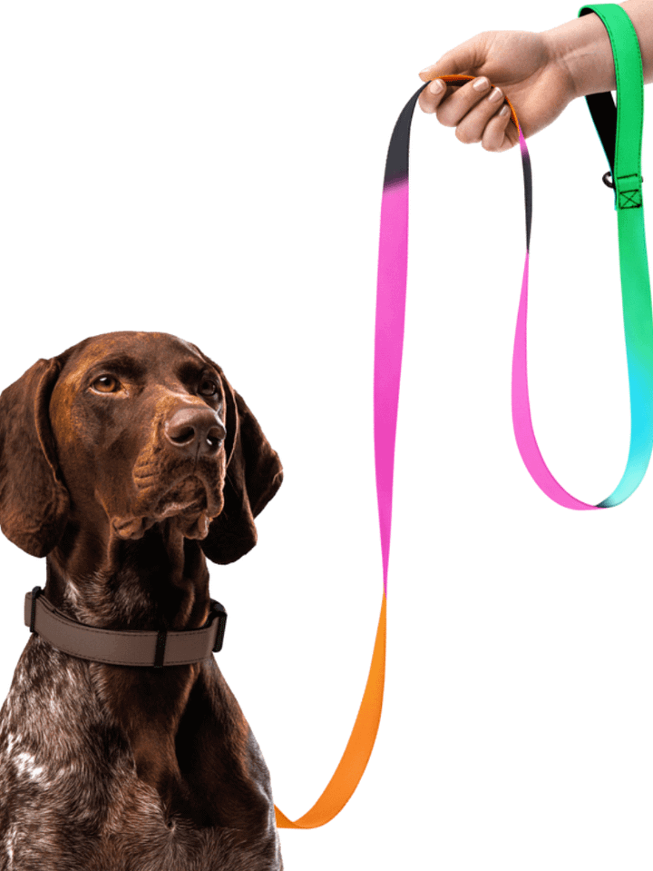 EIFFEL PARIS • DOG LEASH product image (1)