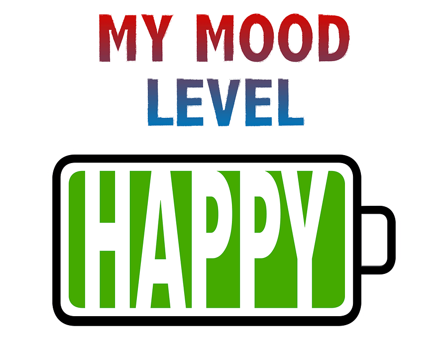 My Mood Level - Happy T-Shirt product image (2)