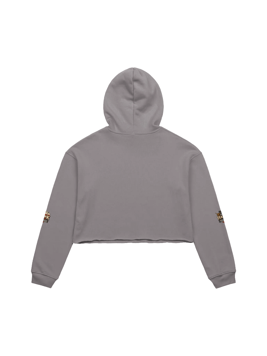 Team K Texas Crop Hoodie product image (12)