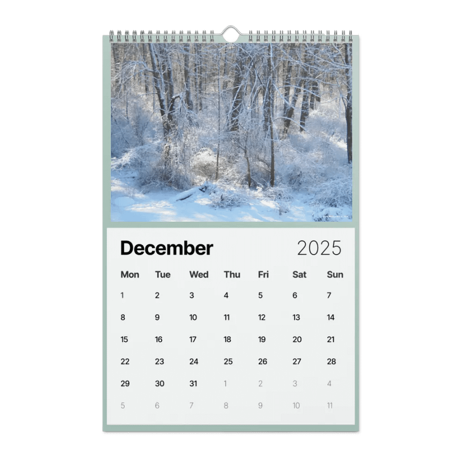 2025 calendar product image (12)