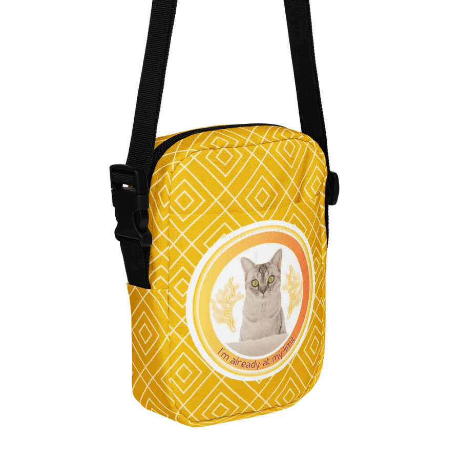 KC, At My Limit (kitty), Patterned Utility Bag product image (1)