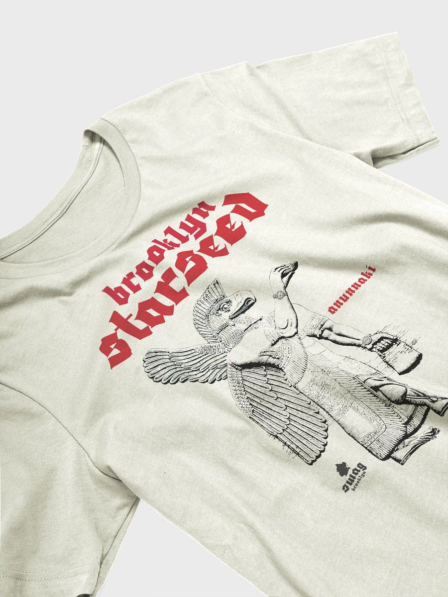 Brooklyn Starseed Anunnaki T-shirt product image (3)