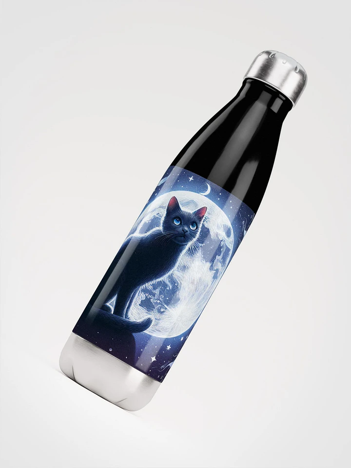 Stainless Steel Water Bottle product image (1)