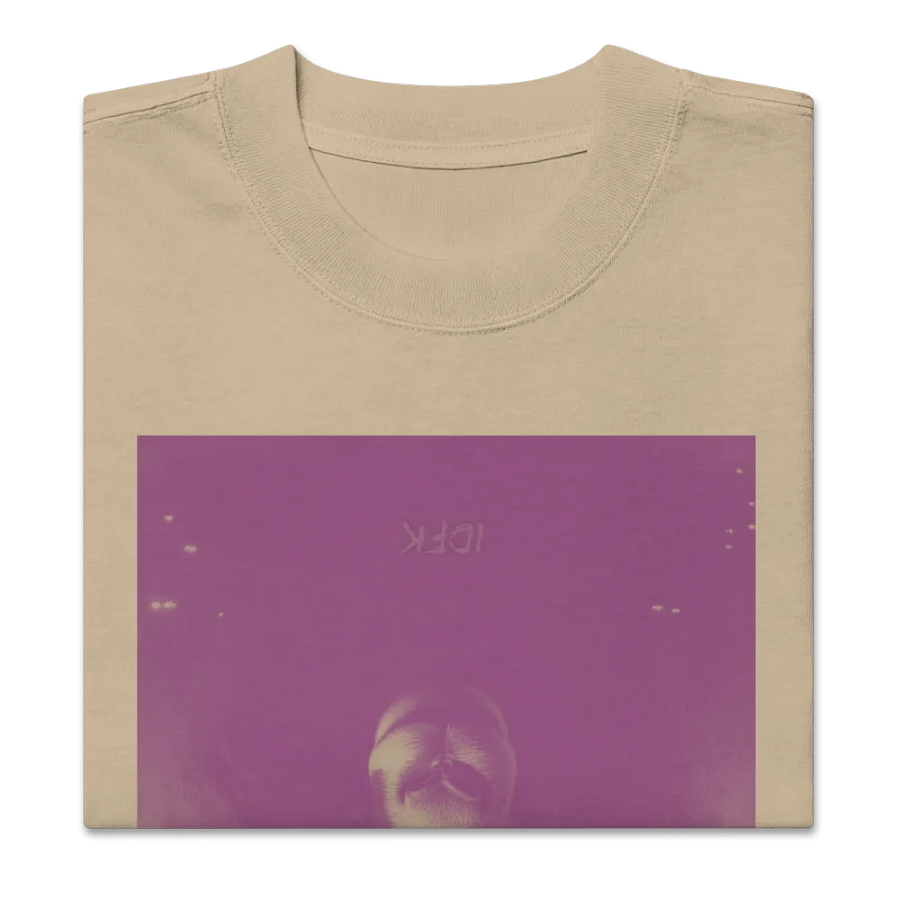 IDFK Black Sheep Heavyweight Tee product image (5)
