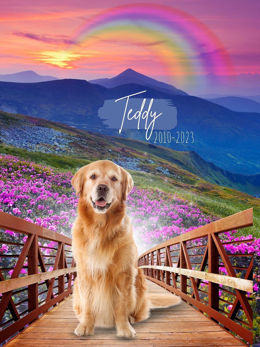 Rainbow Bridge Custom Portrait product image (2)