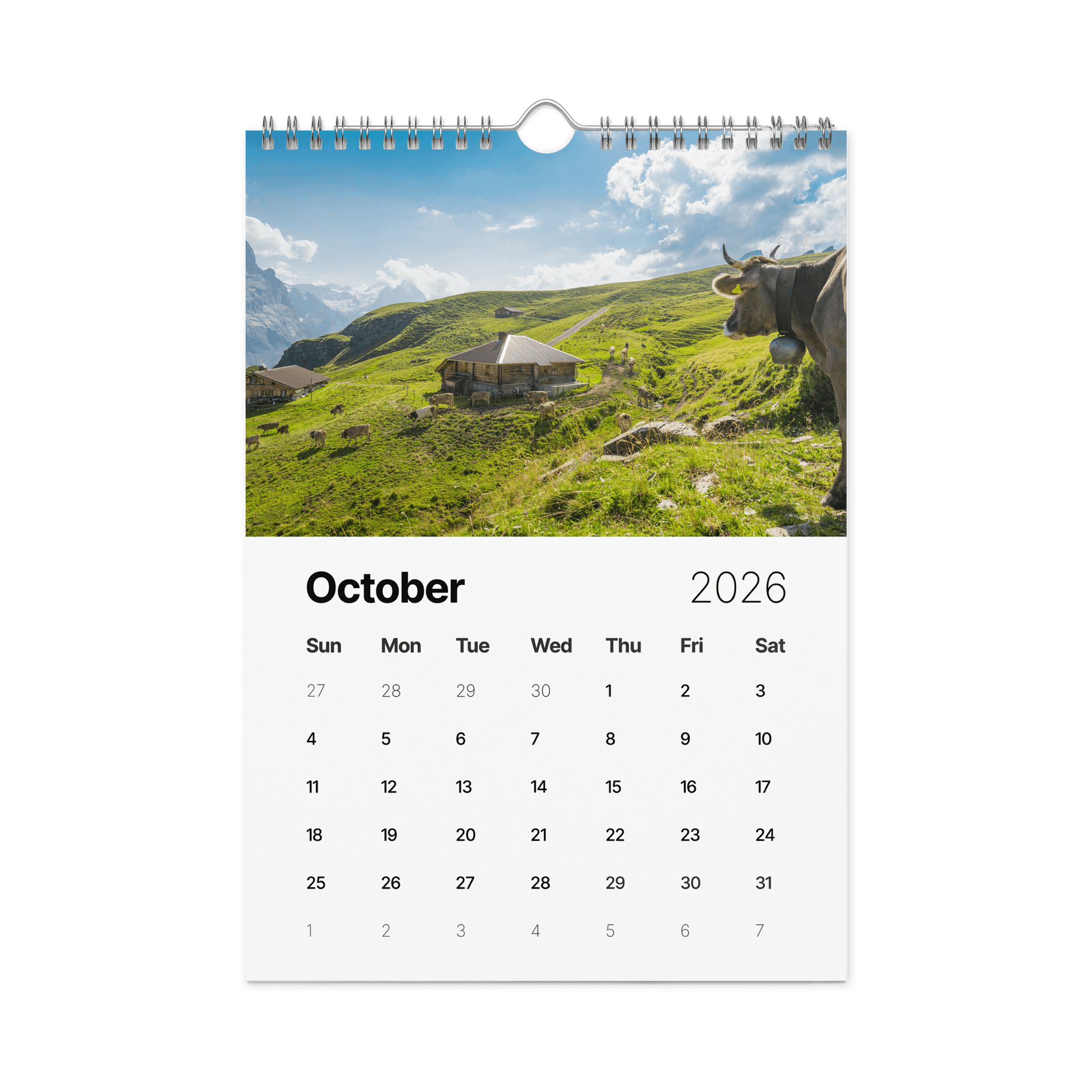 Swiss Cow Calendar 2026 product image (11)