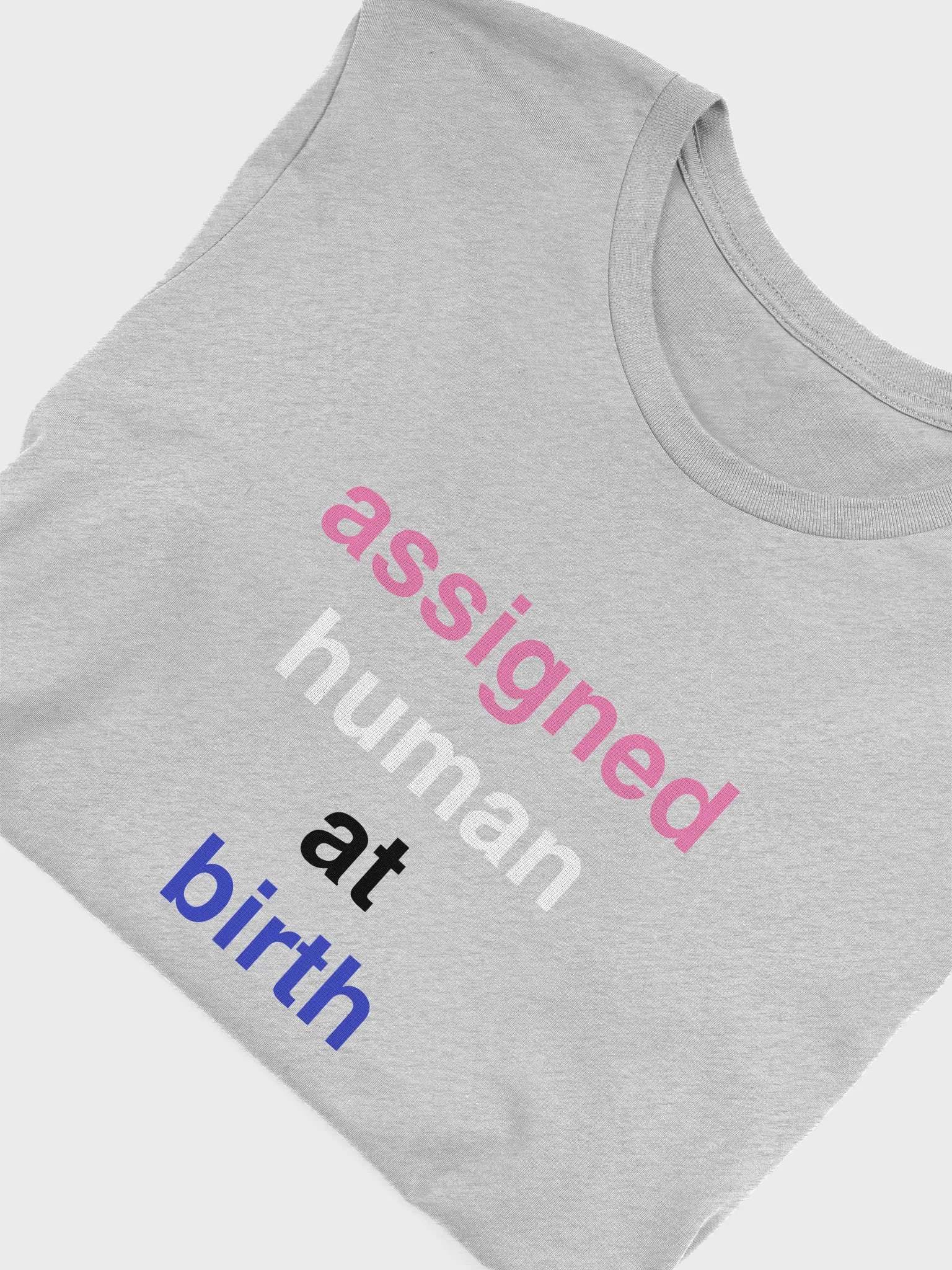 assigned human at birth genderfluid t-shirt product image (5)
