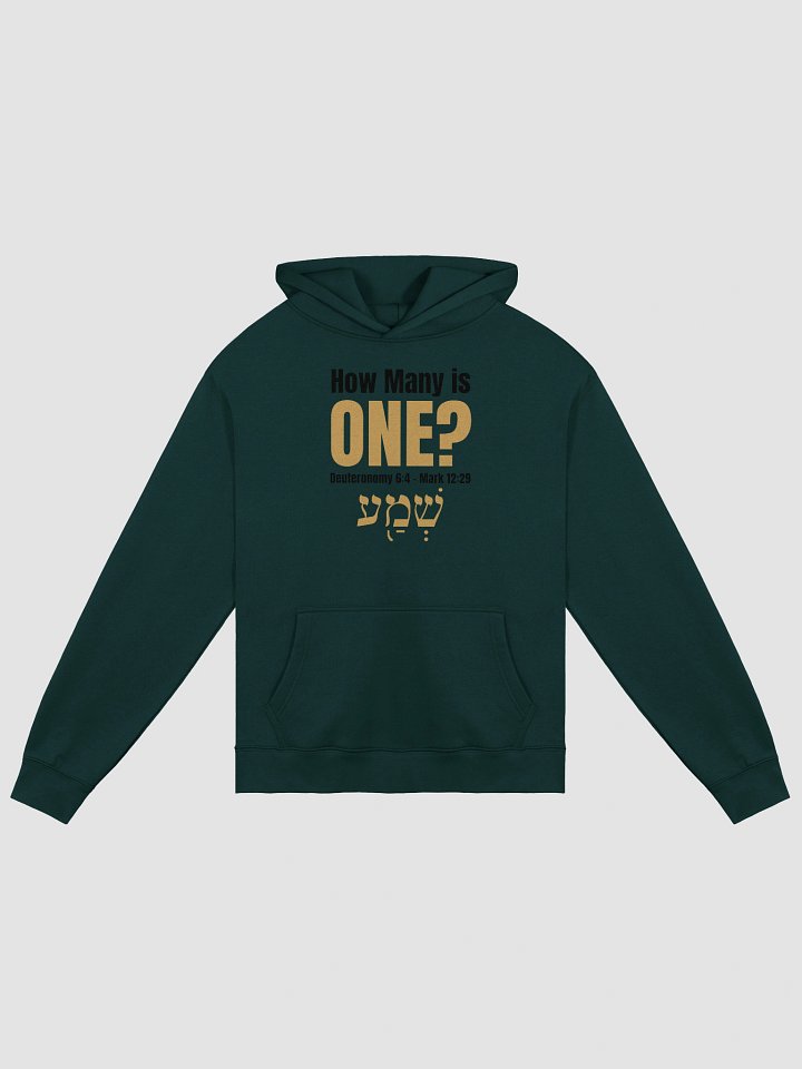How Many is One Unisex Premium Oversized Hoodie (Black Print) product image (2)