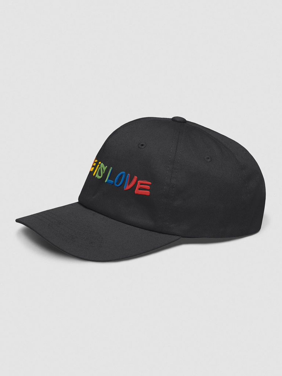 Love Is Love - Embroidered Hat product image (26)
