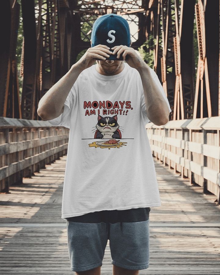 The Official Monday Struggle Meme Tee product image (33)