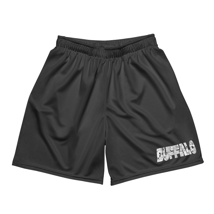 Carolina Hometown Athletic Shorts (Buffalo) product image (2)