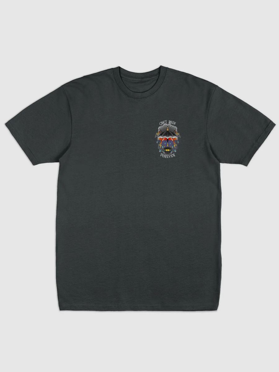 Can't Rain Forever product image (1)