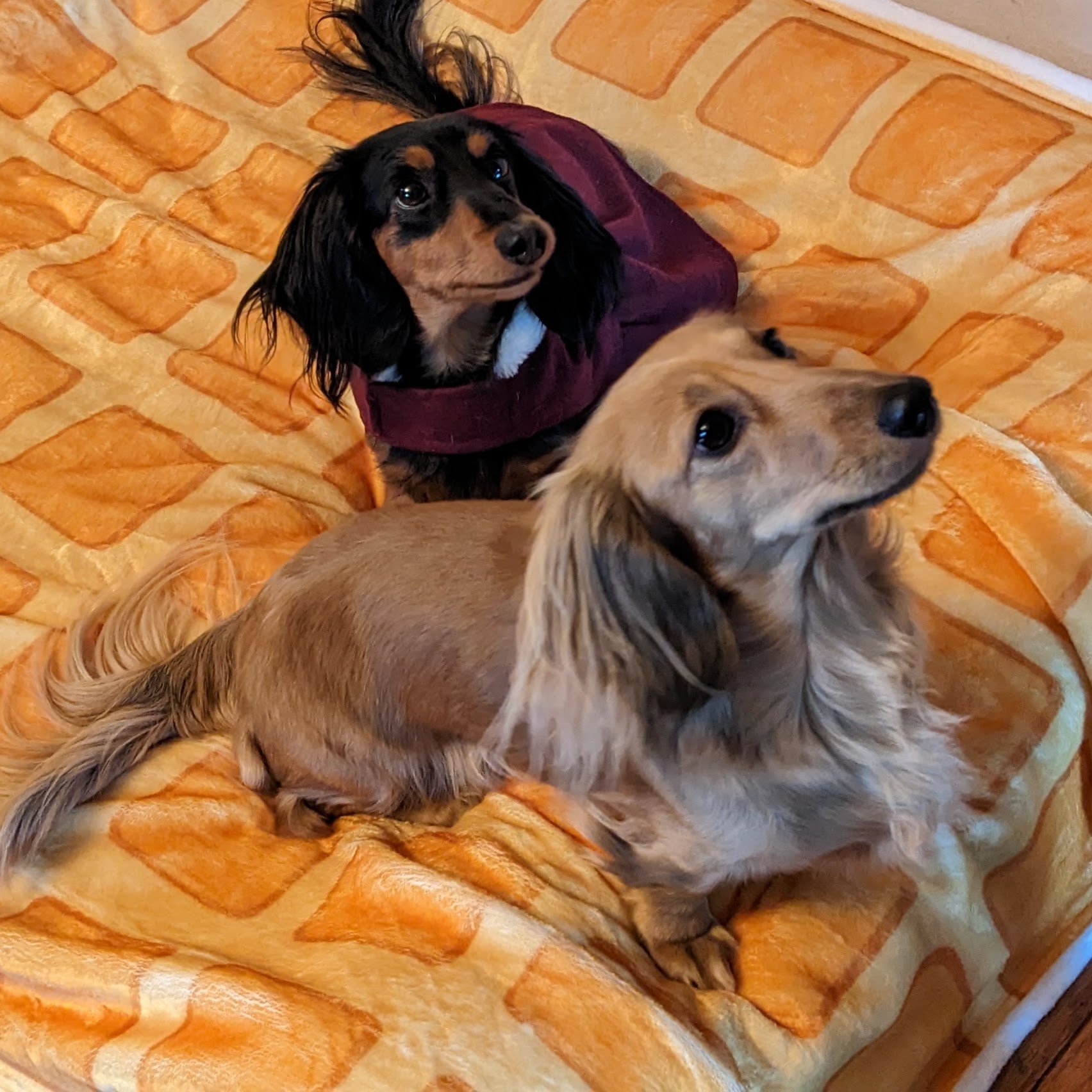 Waffle Snuggly Blanket product image (2)