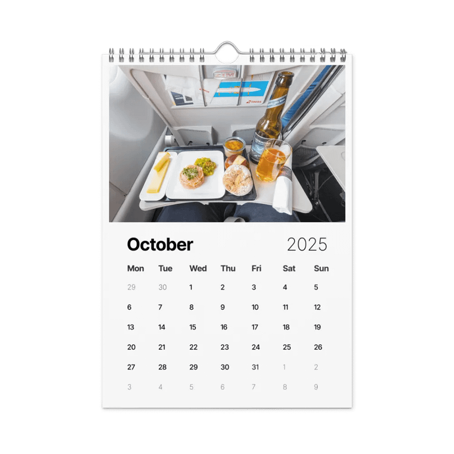 2025 Wall Calendar - Best Of: Airplane Food - (A3 or A4) product image (10)