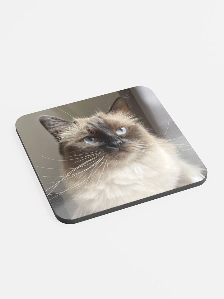 Lilith Coaster product image (2)