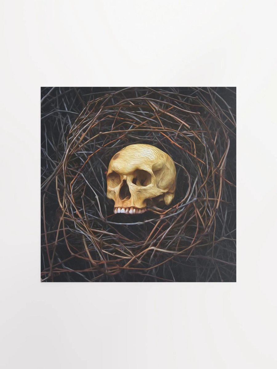 "Skull Nest" - 8x10 Matte Print product image (2)