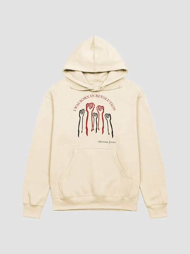 Born in Revolution Mother Jones Adult Hoodie product image (3)
