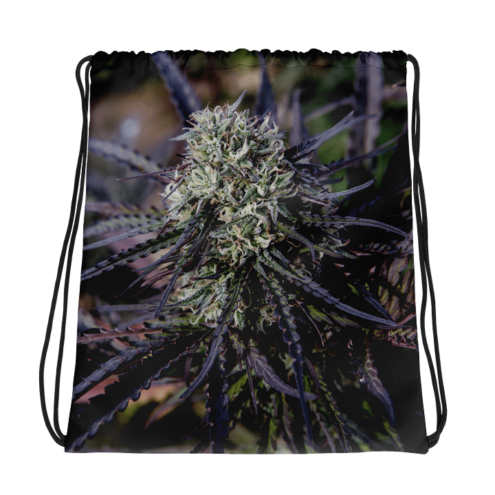 Royal Purple Cultivated Drawstring Bag product image (1)