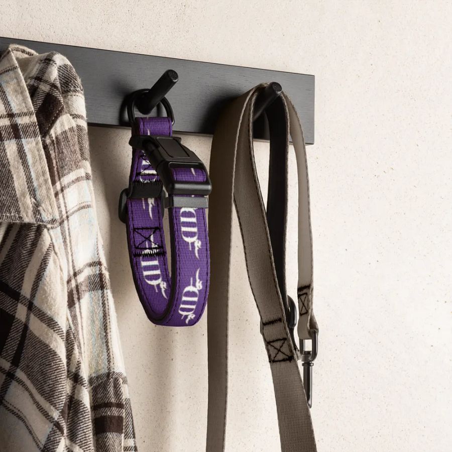 DigitlDynasty PET Collar product image (4)