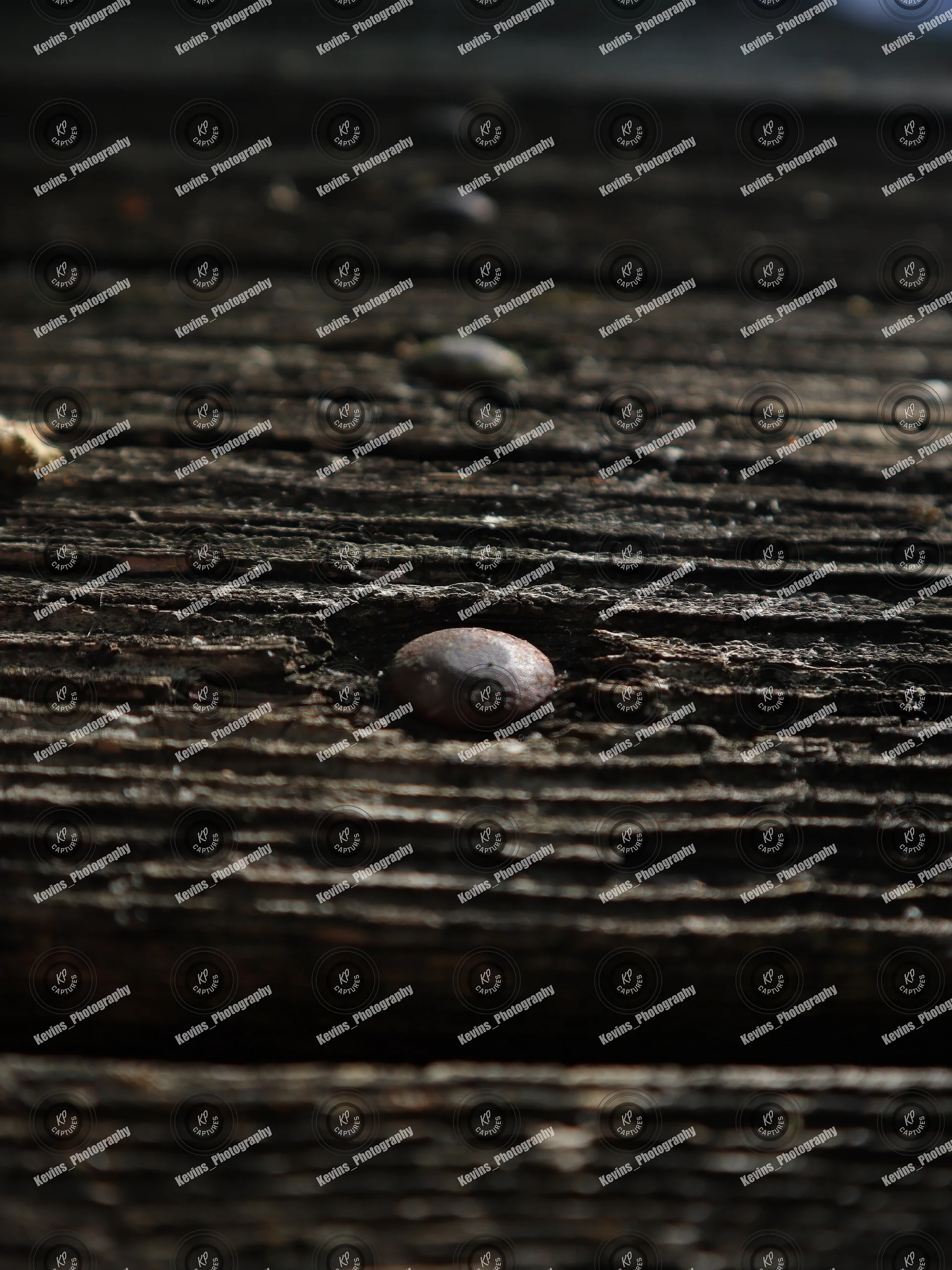 Wooden Table Dark Grain 0484 JPG Vertical Stock Photo product image (1)
