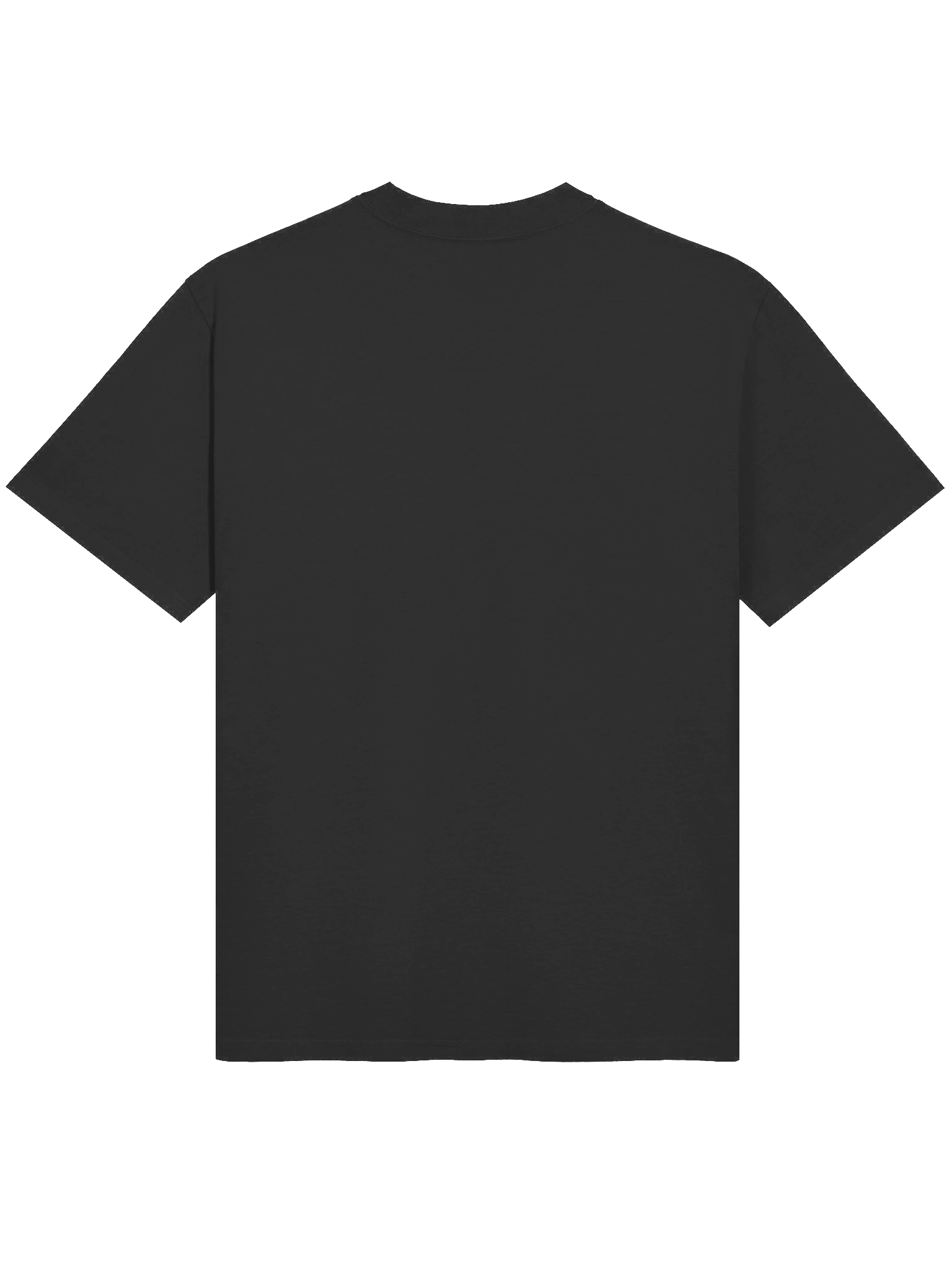 Reformation Generation AS Colour Premium Oversized Faded T-Shirt product image (6)