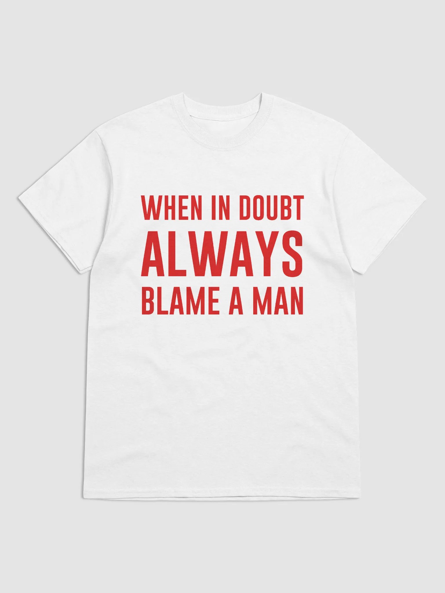 WHEN IN DOUBT ALWAYS BLAME A MAN T-Shirt product image (1)