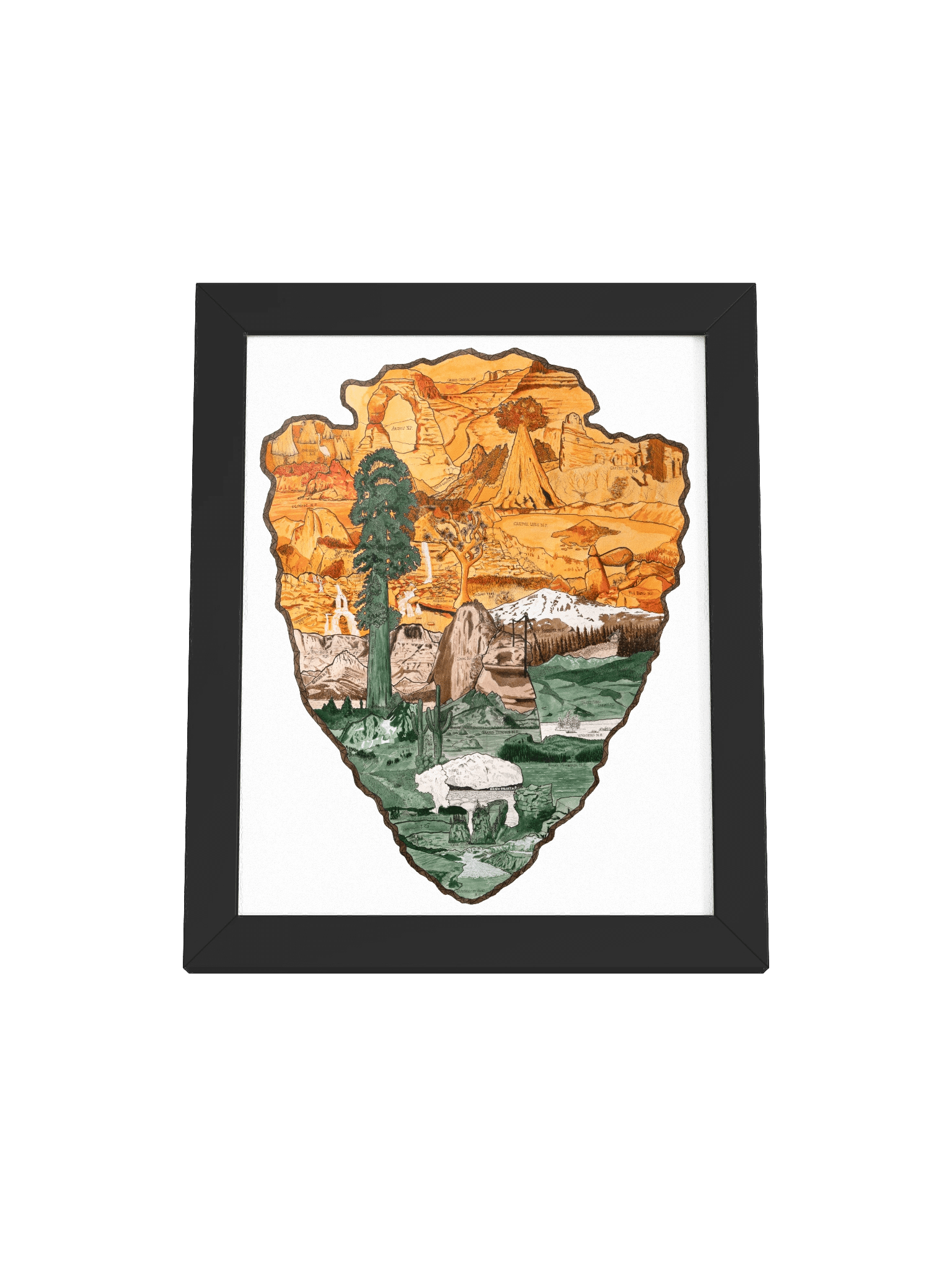 "One Wild Symphony" Framed Print product image (1)