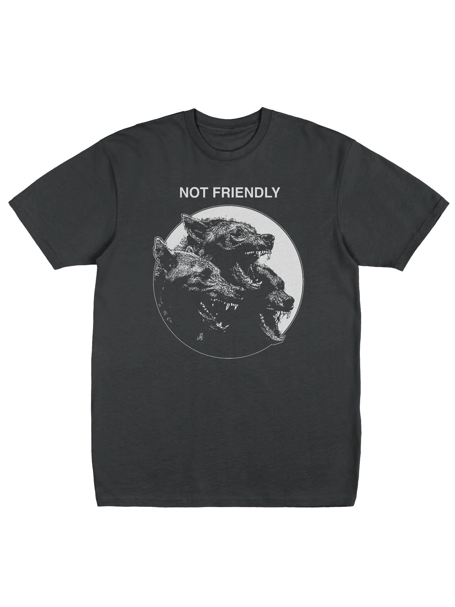 NOT FRIENDLY product image (1)