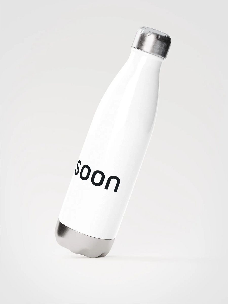 Stainless Steel Water Bottle product image (2)