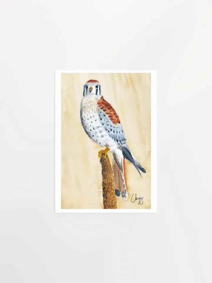 Kestrel Print product image (1)