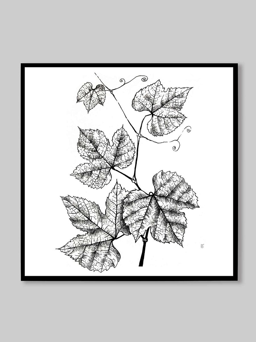 Botanical Bliss Canvas Art - Grape Leaves product image (9)