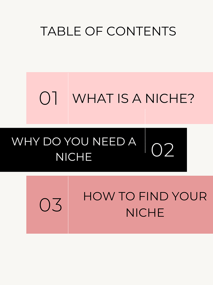 Niche Planner product image (2)