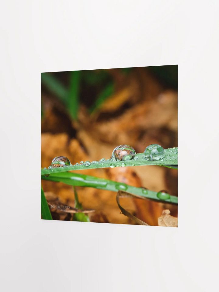 Dew Gems #11 - Print product image (5)