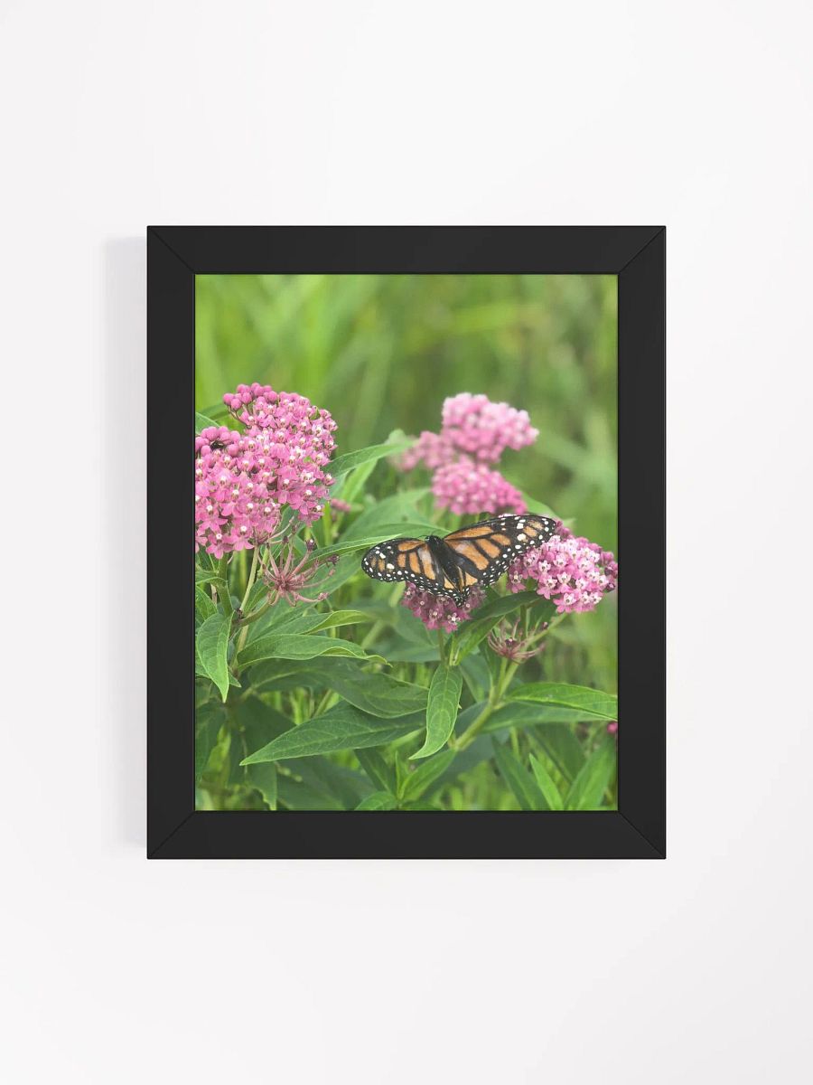 Monarch Butterfly version 2 High Quality Matte Poster product image (4)