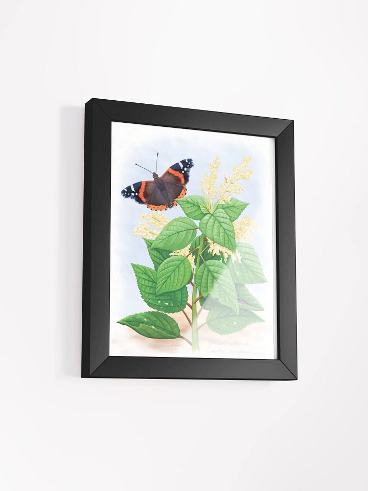 Red Admiral Butterfly product image (16)