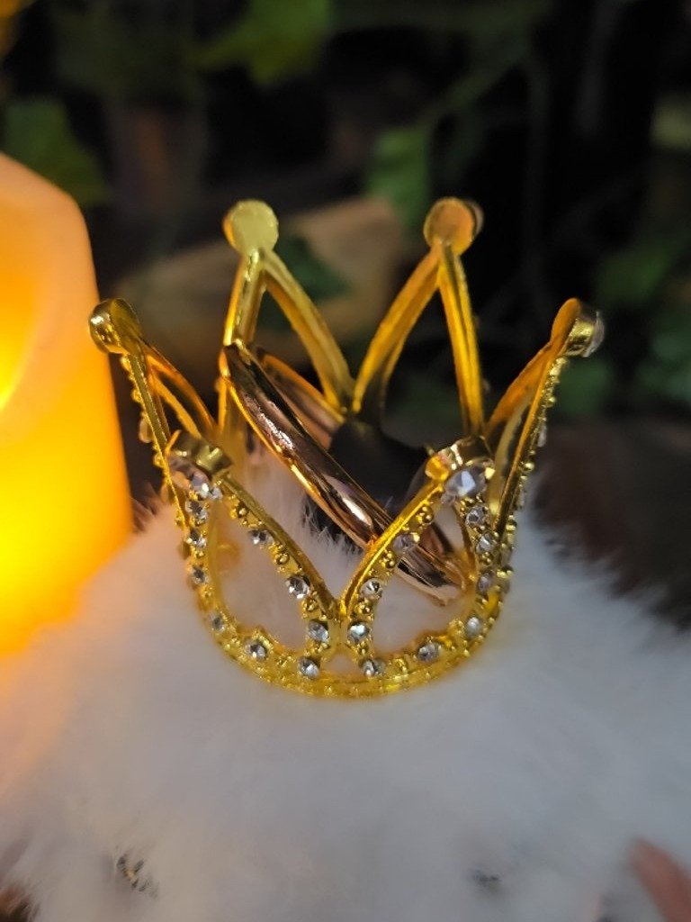 The Armored Kingdom Crowned White Snugglehop Bunny Keychain product image (3)