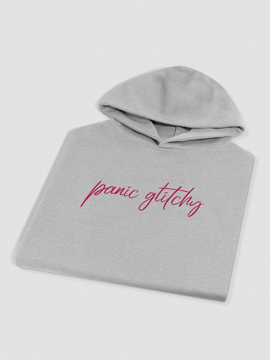 Flagship Embroidered Hoodie product image (11)