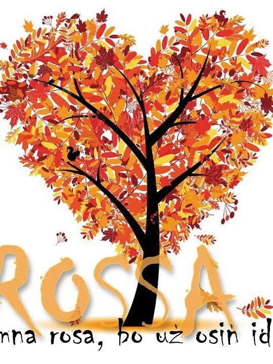 ROSSA 1 - Zimna rosa, bo uz osin ide... product image (1)