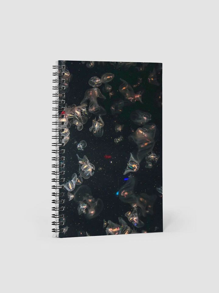 Fairy Lights Notebook product image (1)