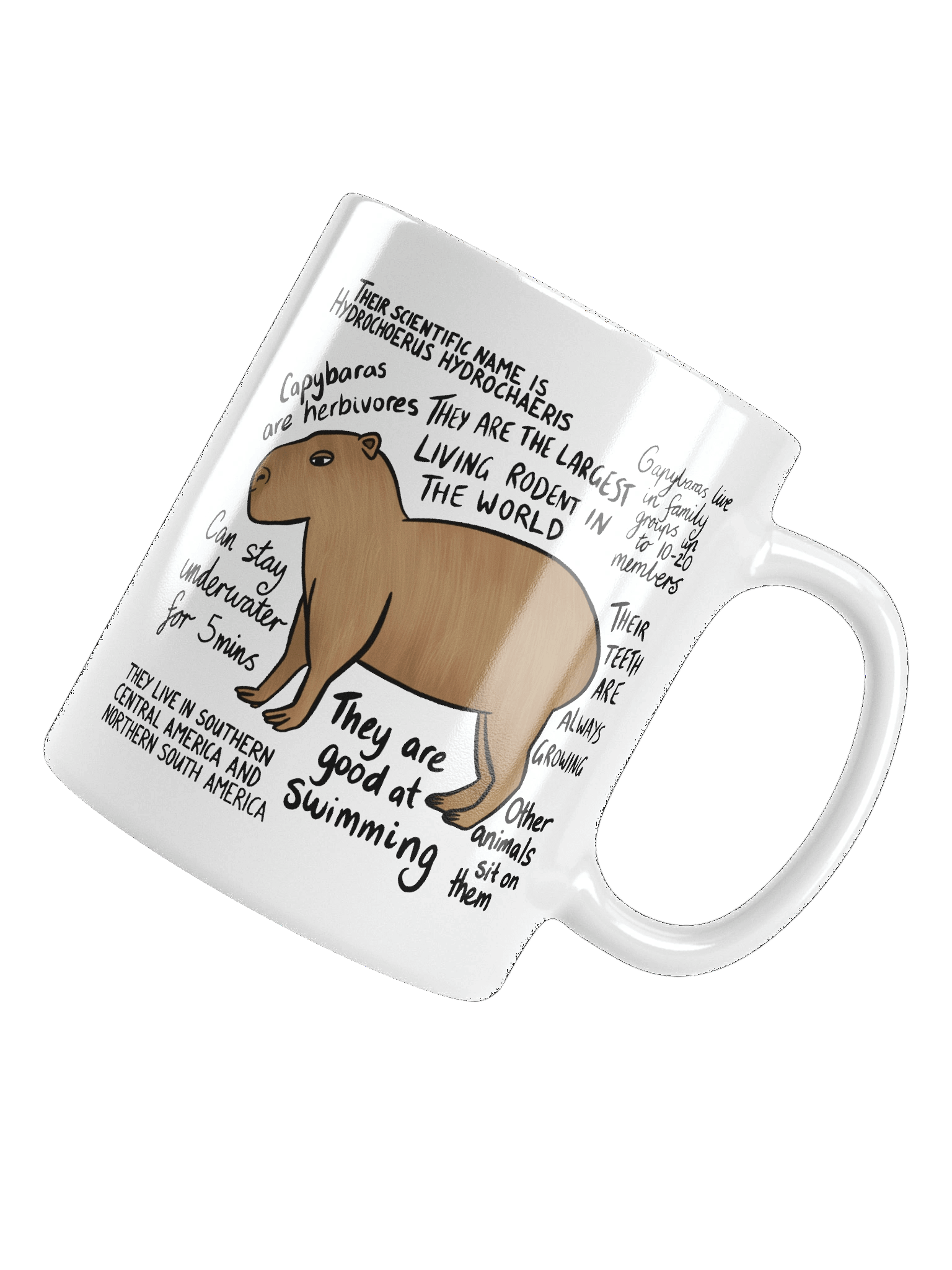 Capybara Facts Mug product image (15)
