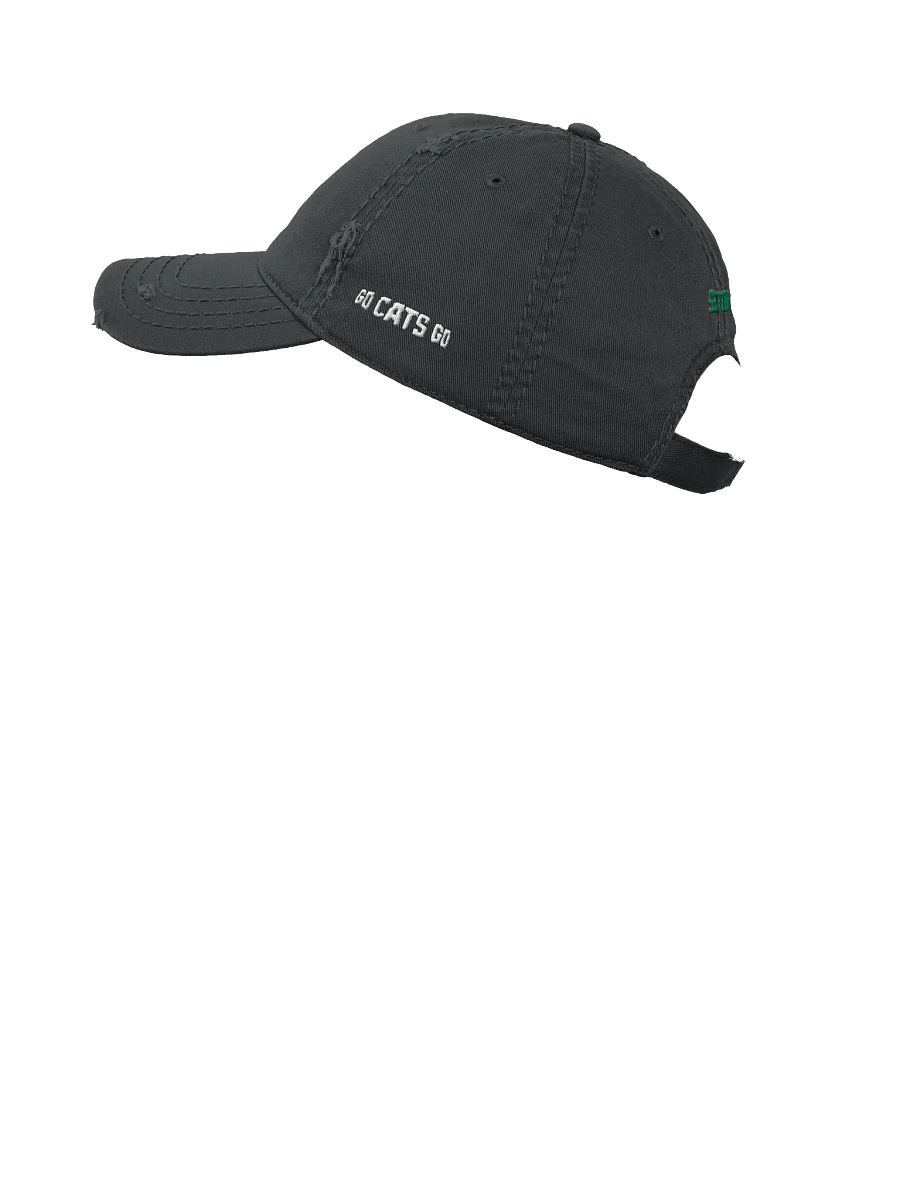 Orange Cats Beat Up Hat product image (8)