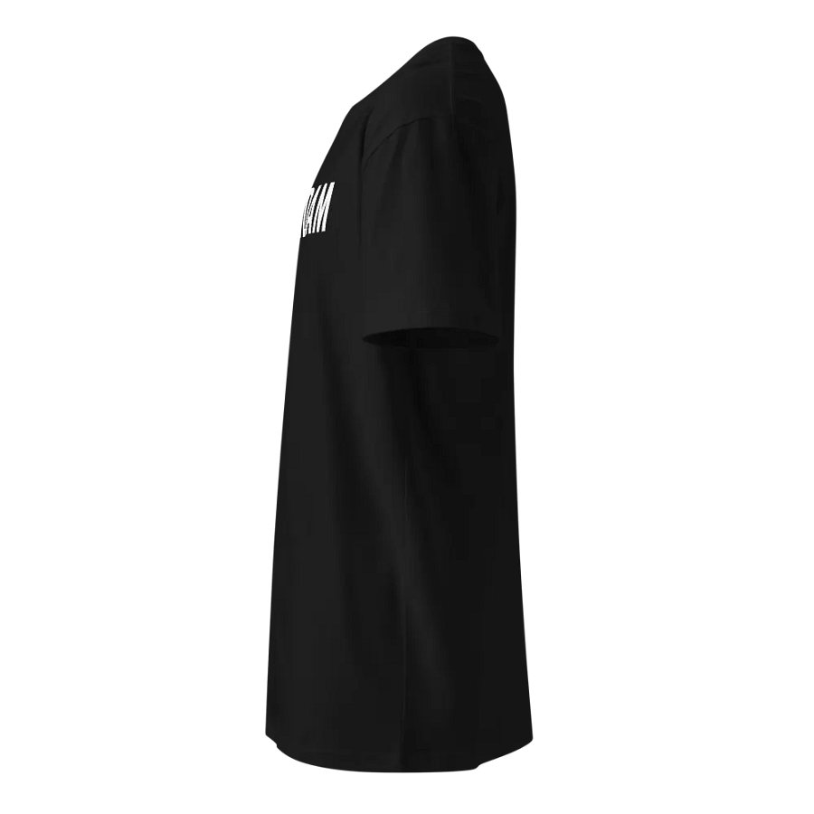 T-shirt (unisex) product image (3)