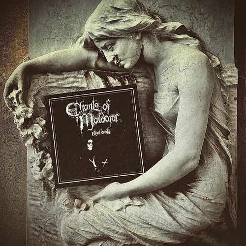 dear little bats
we have some extra copies of the exclusive limited edition vinyl of 