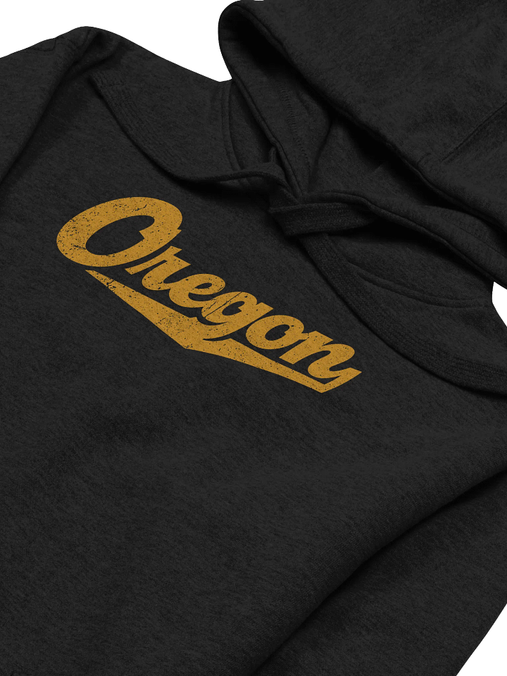 Oregon with Swash Hoodie product image (2)