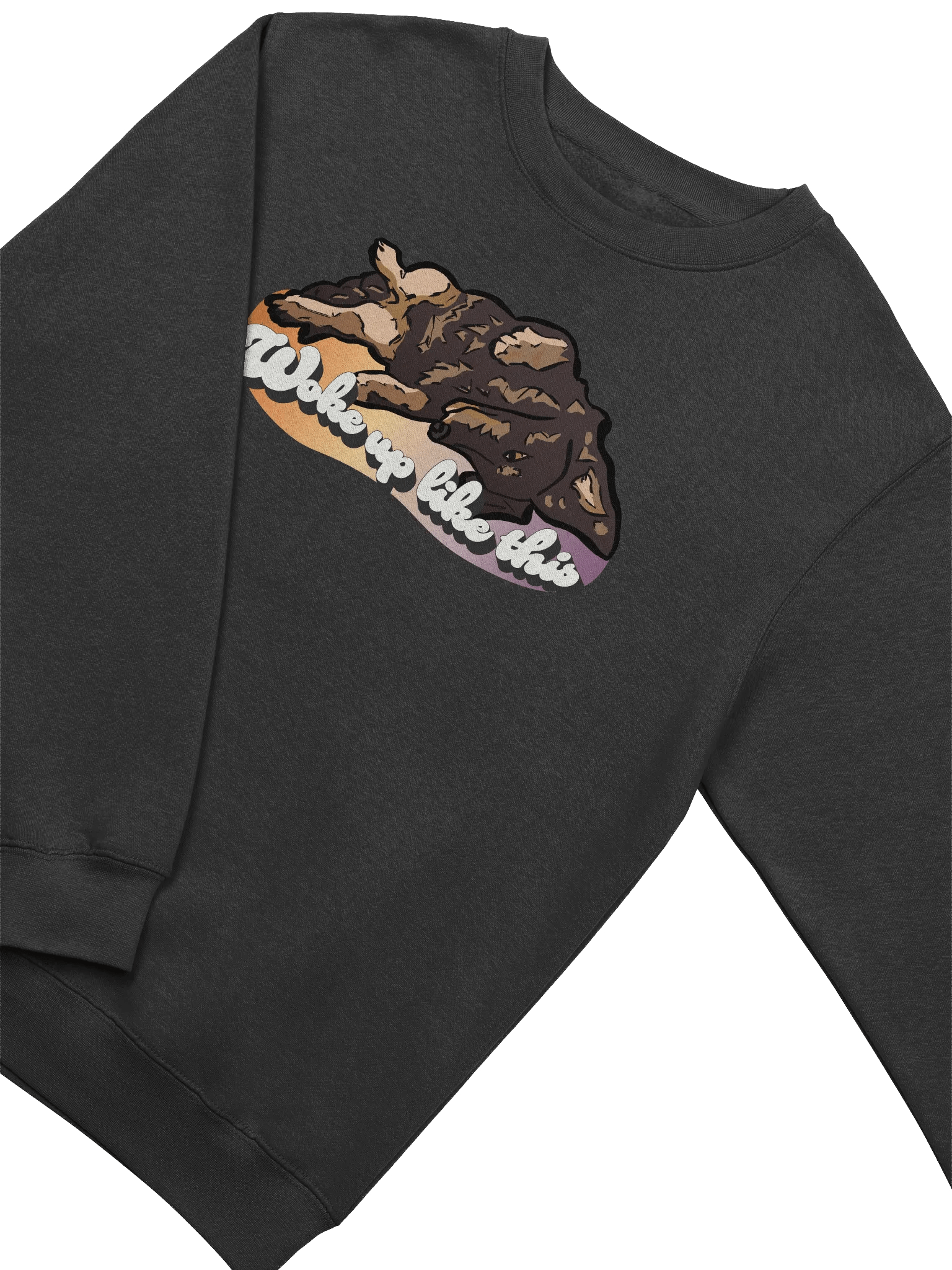 Woke Up Like Longboy - Sweatshirt product image (3)
